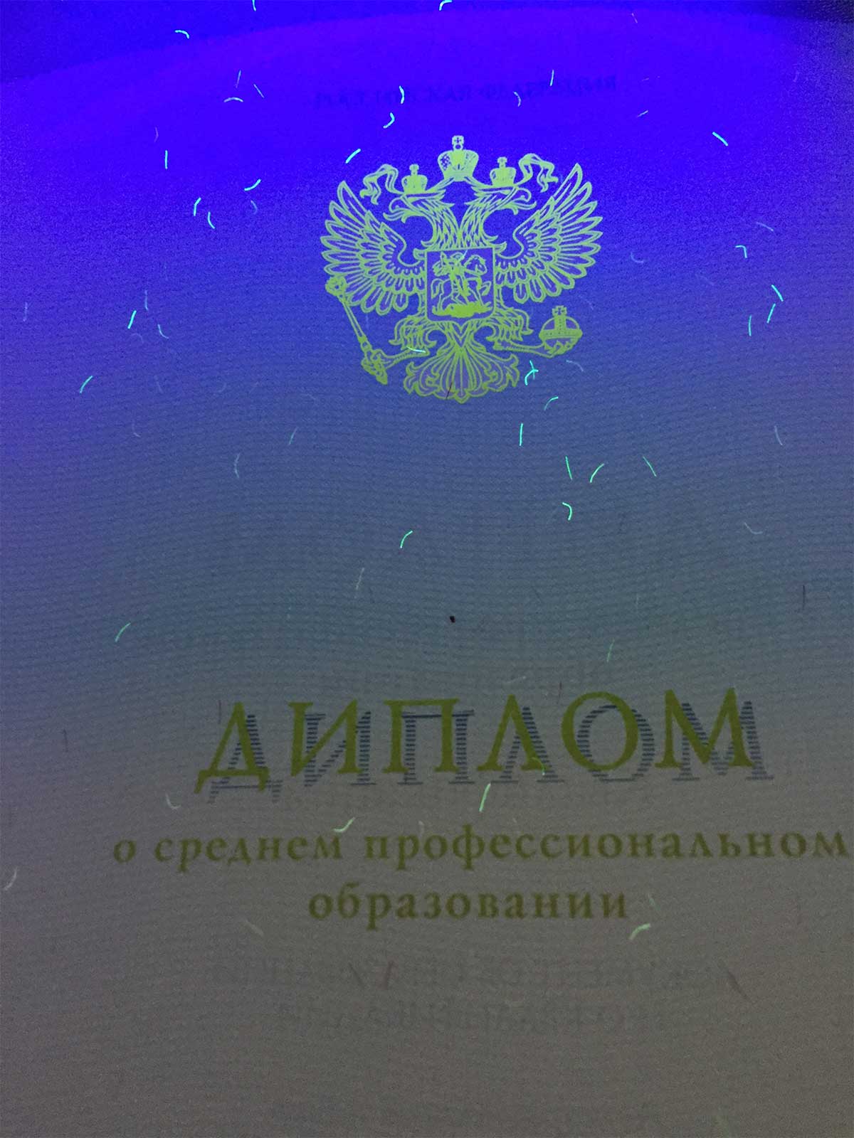 Диплом техникума, колледжа 2014-2026 Фото